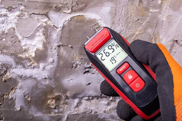 Mold Testing and Removal in Lake Shore, UT