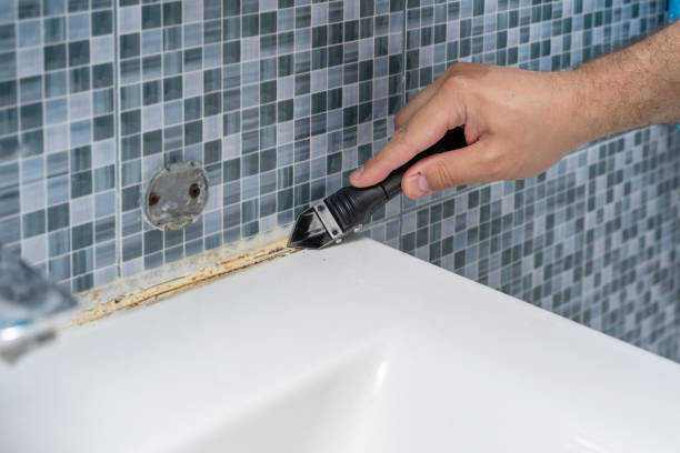 Best Home Mold Removal  in Lake Shore, UT